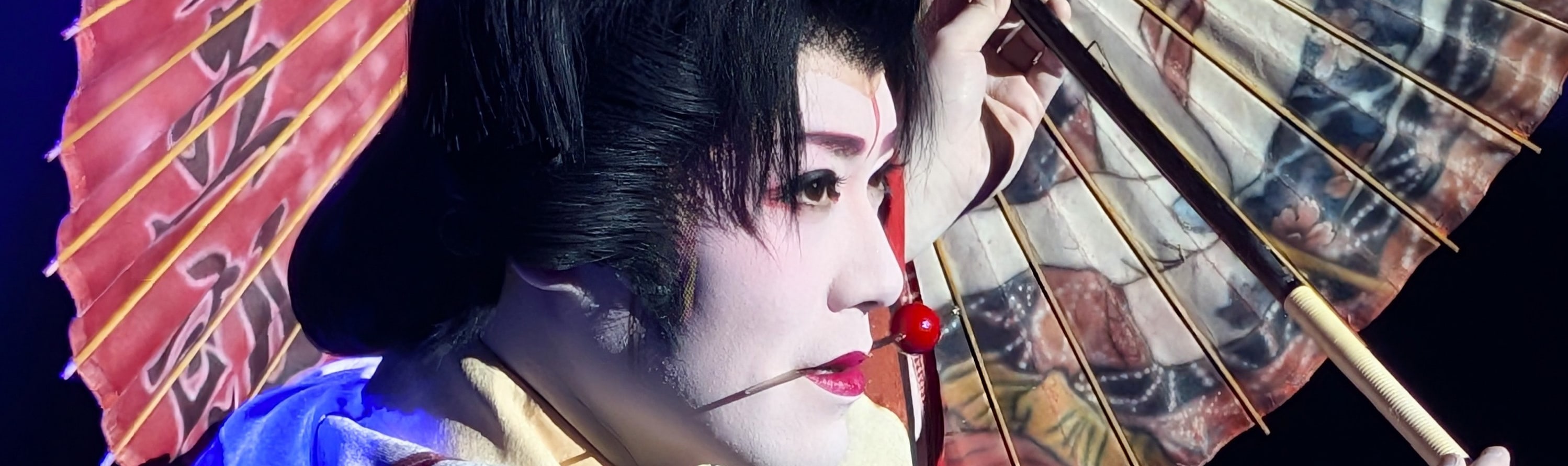Tokyo Asakusa: Guided Japanese Cabaret Show (Taishu Engeki) - Thumbnail 26