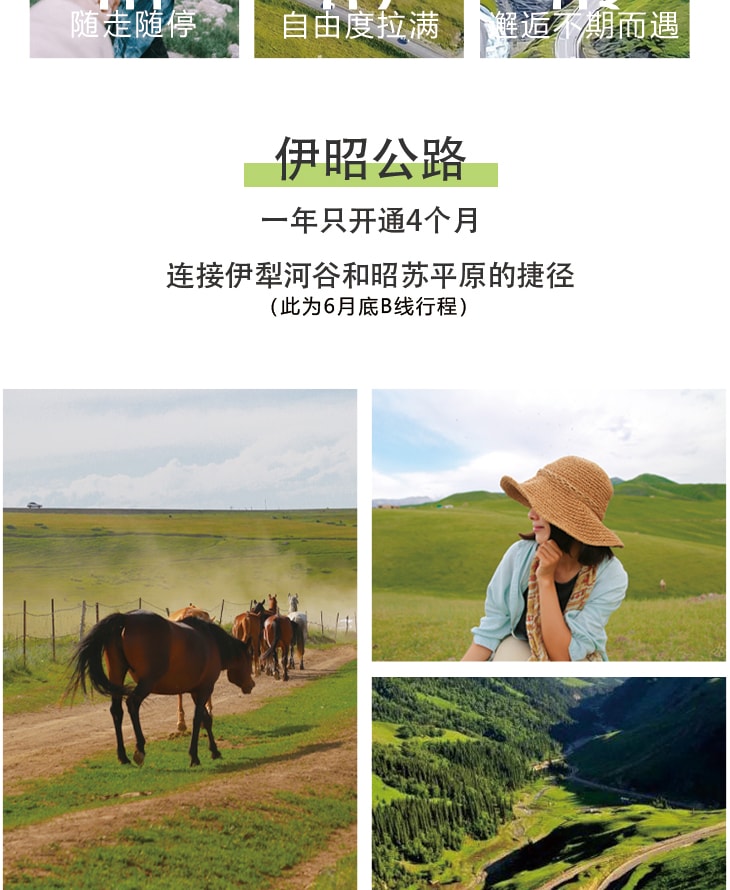 新疆伊犁縱貫天山五月版8日（全程旅拍攝影+全程坦克300出行+賽里木湖+安集海大峽谷+喀拉峻+恰西+那拉提+喀贊其+S101國防公路)