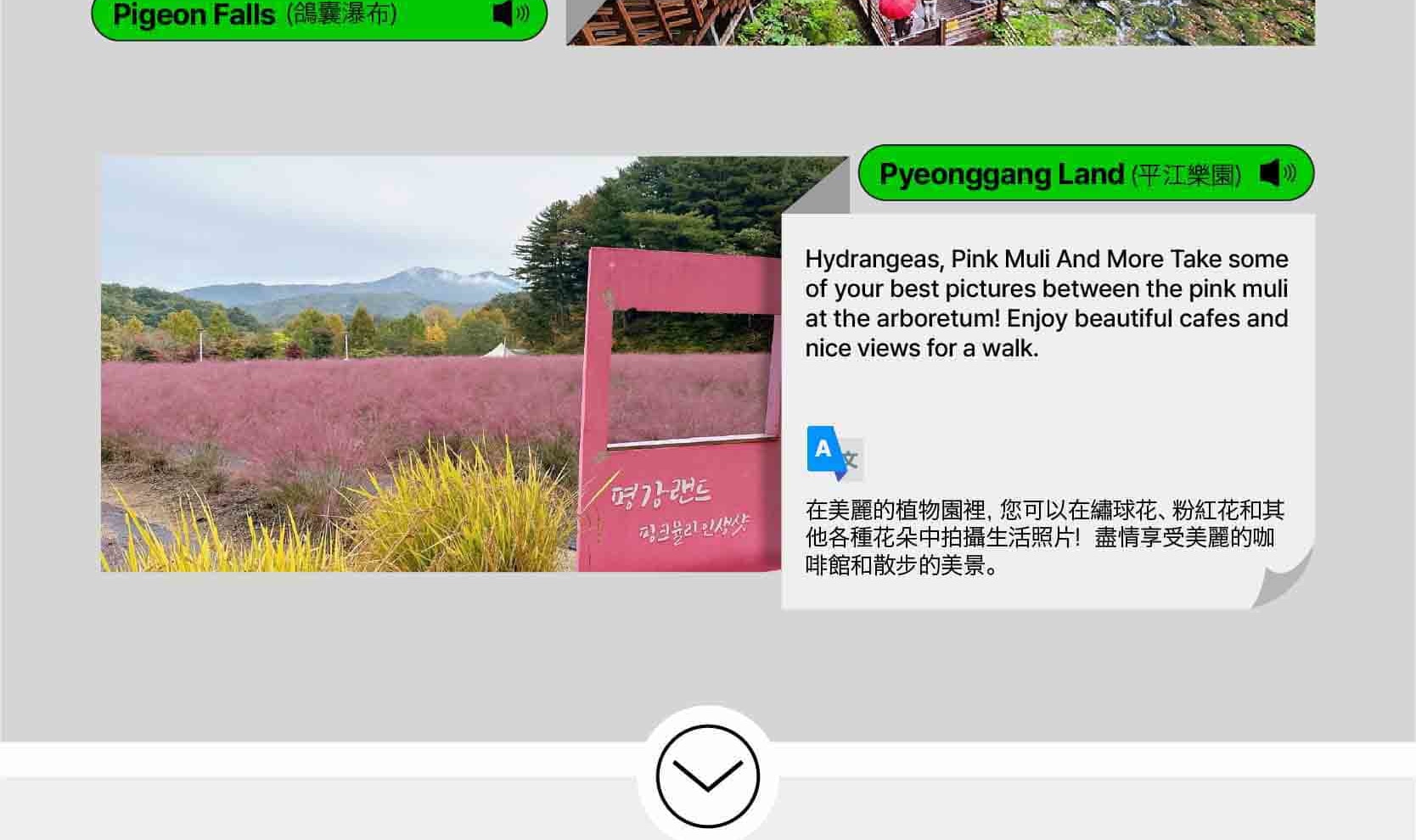 首爾私人訂製汽車之旅