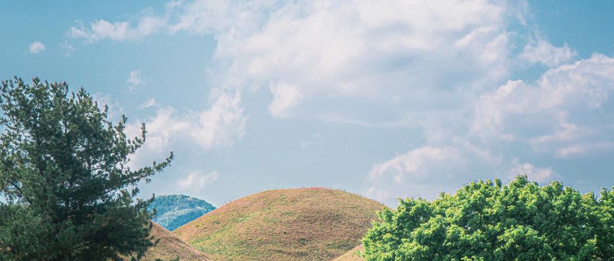 [From Daegu] Gyeongju UNESCO Day Tour: Bulguksa Temple, Cheomseongda