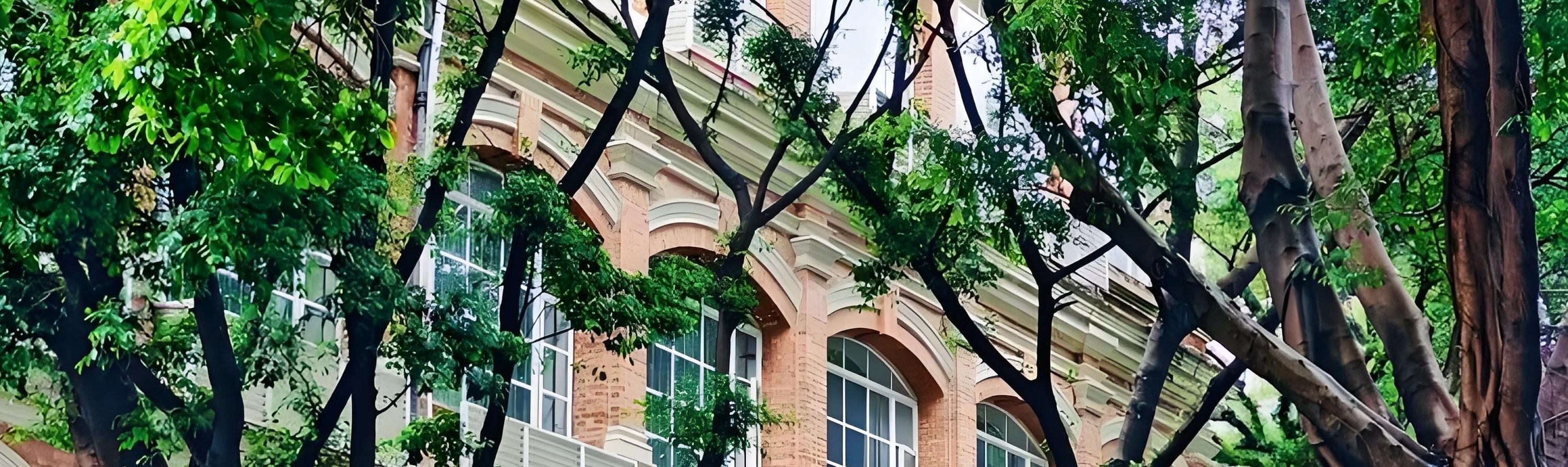 廣州沙面：匯聚各國風格建築，宛如一座露天的歐式建築博物館，漫步其間盡享異域風情。