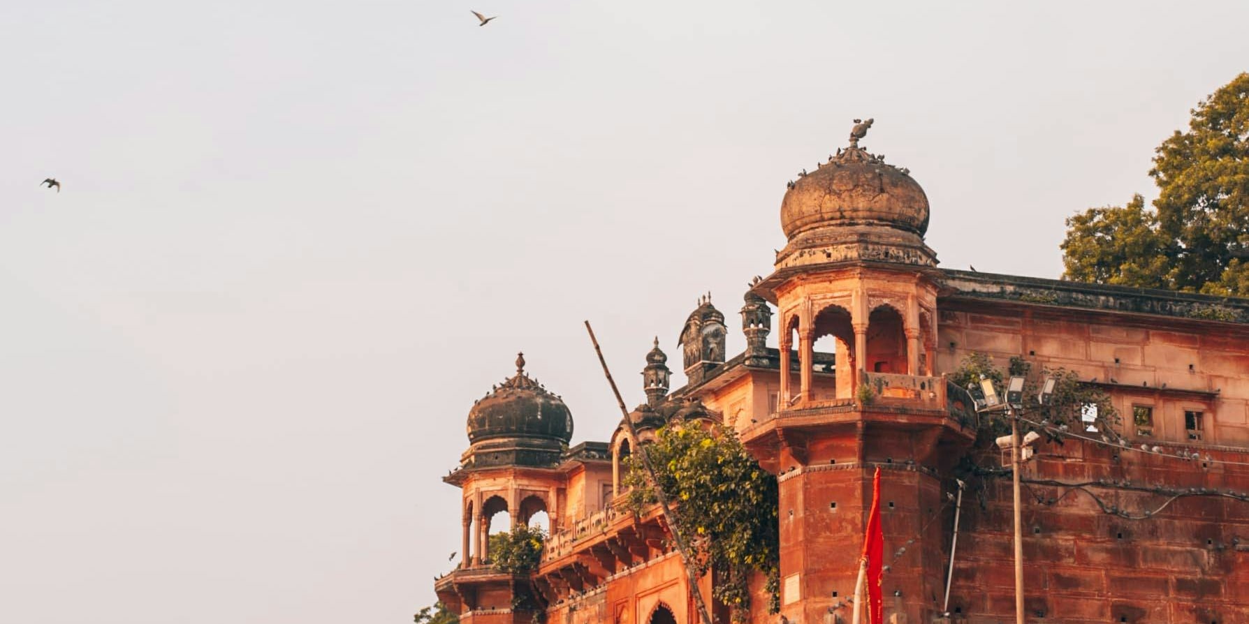 瓦拉納西 (Varanasi)：包含鹿野苑 (Sarnath) 與乘船遊覽的私人全日遊