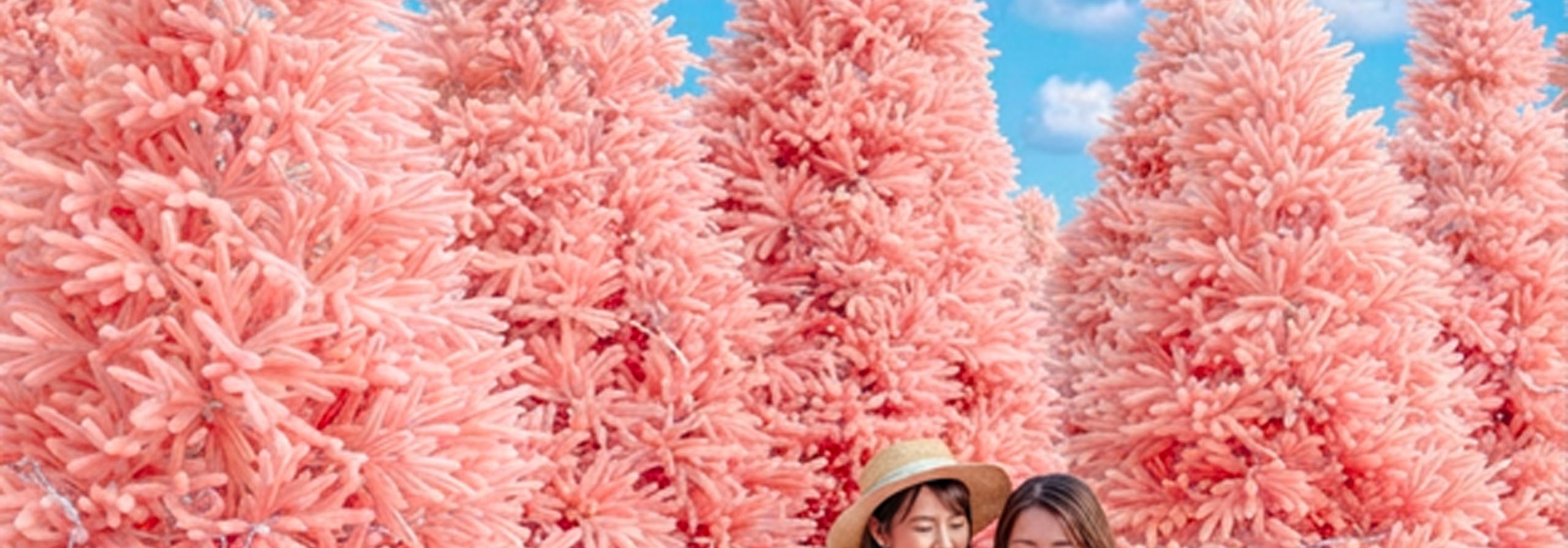 💖 在香草島樂園漫步於夢幻粉紅森林。