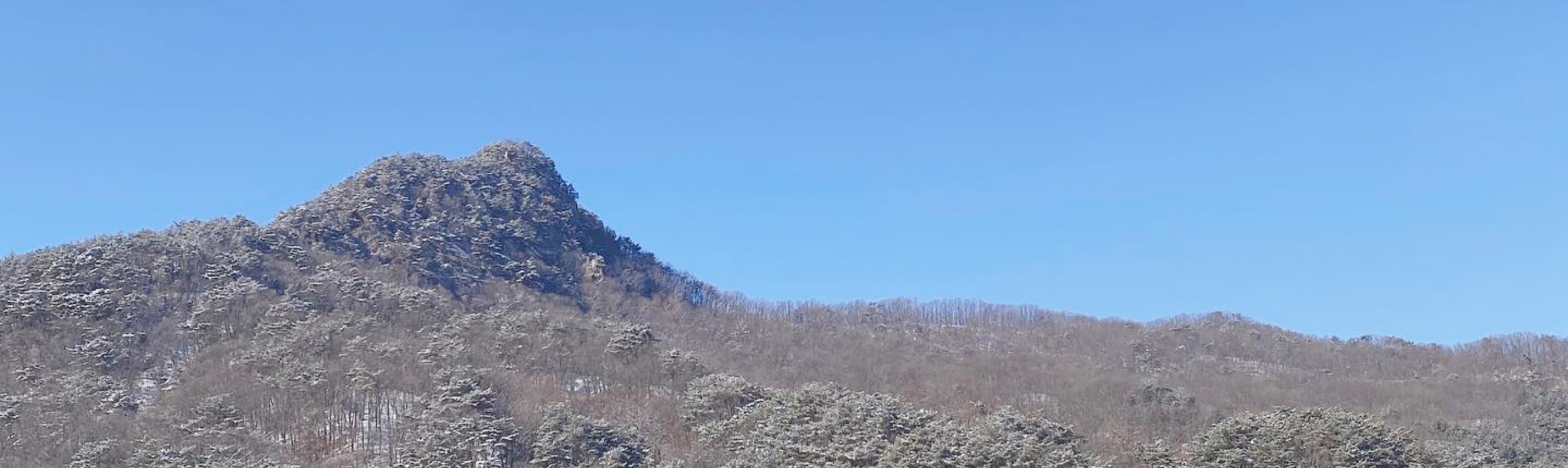 浦川 & 季節性熱門景點一日遊