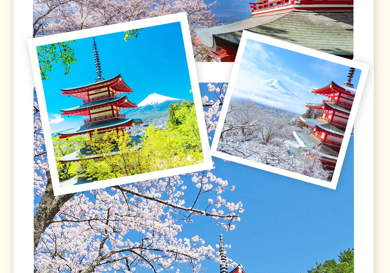12月1日至次年4月25日去新倉山淺間公園,新倉山淺間公園位於日本富士吉田市,是觀賞富士山的絕佳地點。 12月1日至次年4月25日去新倉山淺間公園,新倉山淺間公園位於日本富士吉田市,是觀賞富士山的絕佳地點。