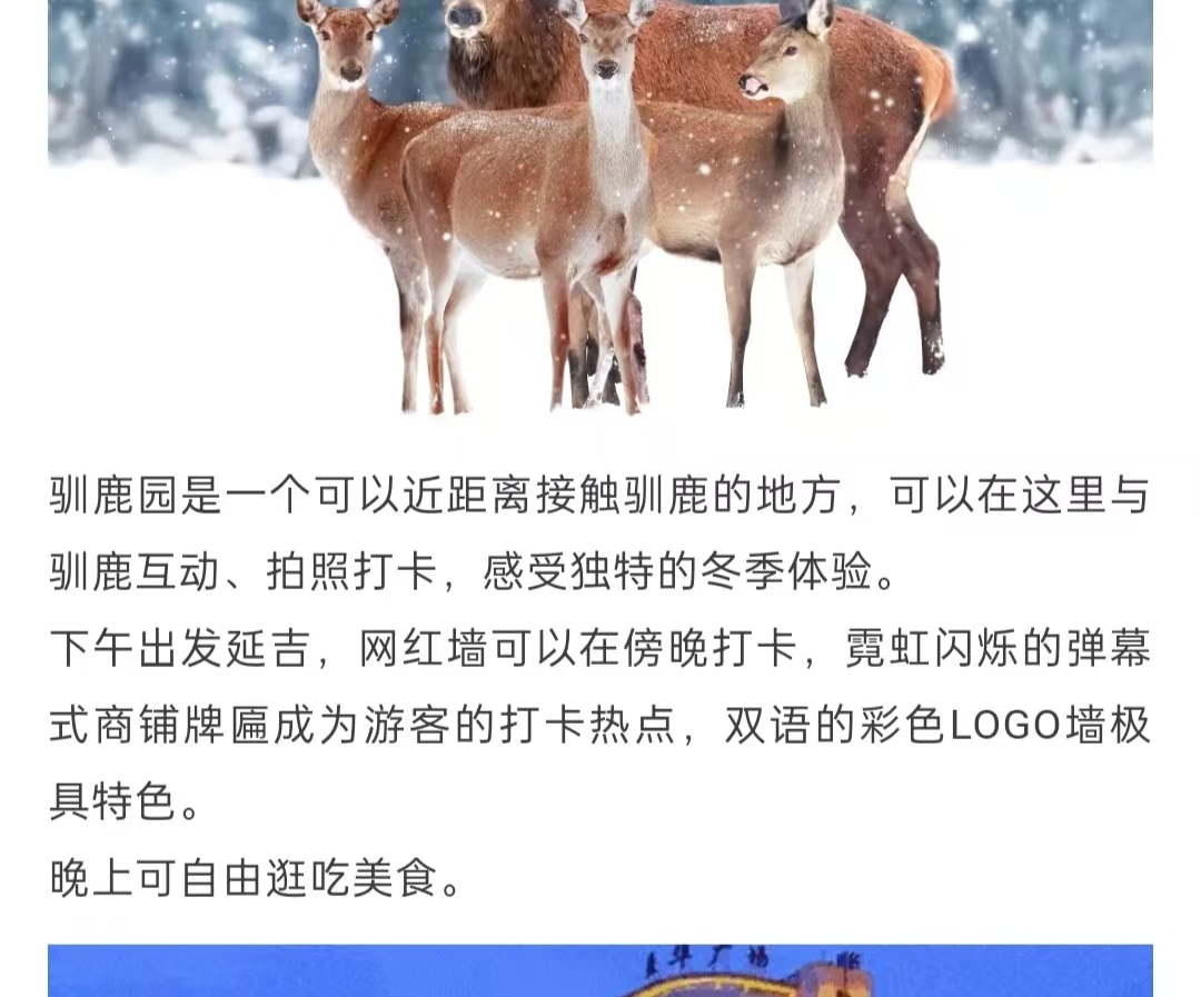 東北頂奢長白高奢私家6日（水色別墅兩晚連住+萬達度假區兩晚連住+騎馬穿越林海雪原+極寒霧凇漂流+延吉旅拍+圍爐煮茶+雪地火鍋+老裡克湖）