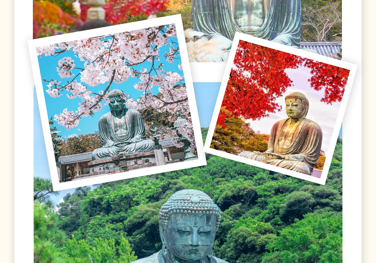 鎌倉大佛是古都鎌倉的象徵,大佛淨高11.3米,連臺座高13.35米,重約121噸。非常珍貴。(門票敬請自理:300円、大佛內部50円)。 鎌倉大佛是古都鎌倉的象徵,大佛淨高11.3米,連臺座高13.35米,重約121噸。非常珍貴。(門票敬請自理:300円、大佛內部50円)。