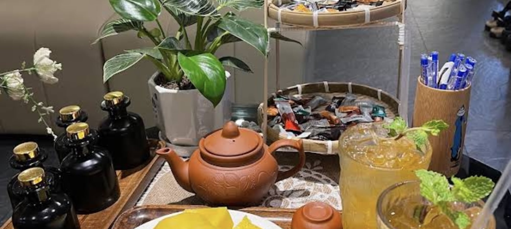 Lion Spa Experience in Phu Quoc
