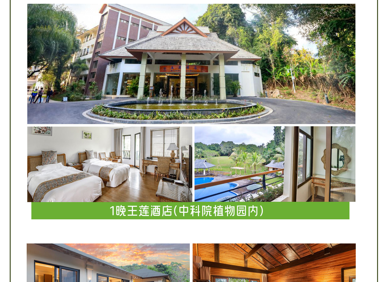 ❣️【放虎归山】云南西双版纳普洱6天5晚亲子游私家团(普洱森林公园+夜游植物园+小熊猫互动+告庄旅拍) 行程图 22