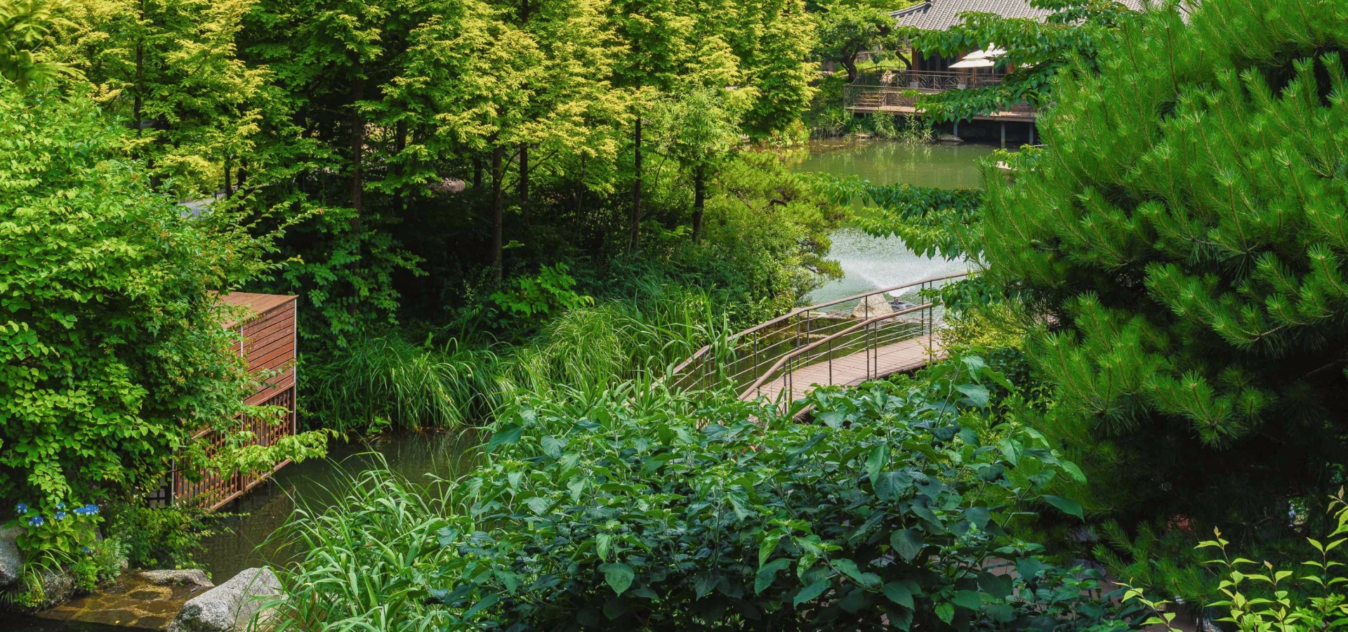 🌿夏季，和談林鬱鬱蔥蔥，溪流潺潺，是令人心曠神怡的避暑勝地。