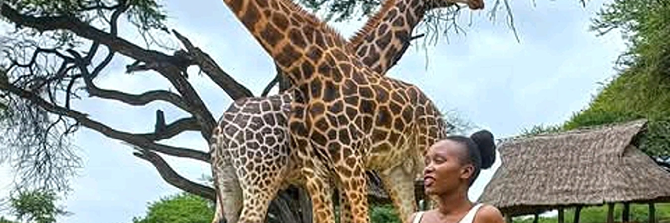 Giraffe Center and Karen Blixen Museum Tour from Nairobi.