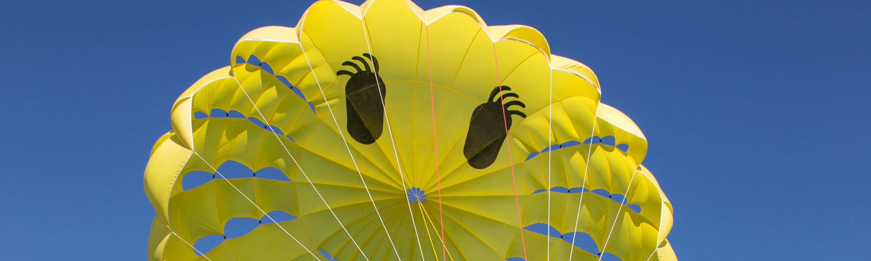 Queenstown Paraflights Parasailing
