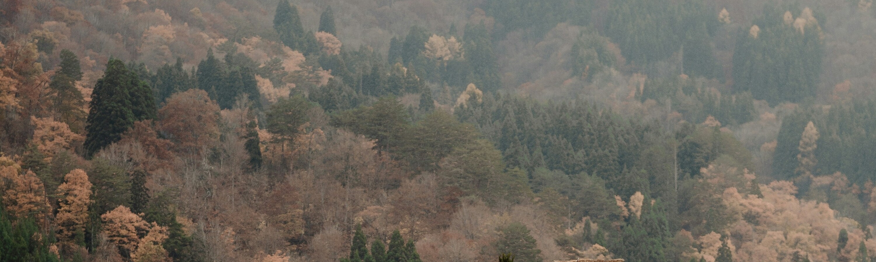 Gassho Traditional Houses