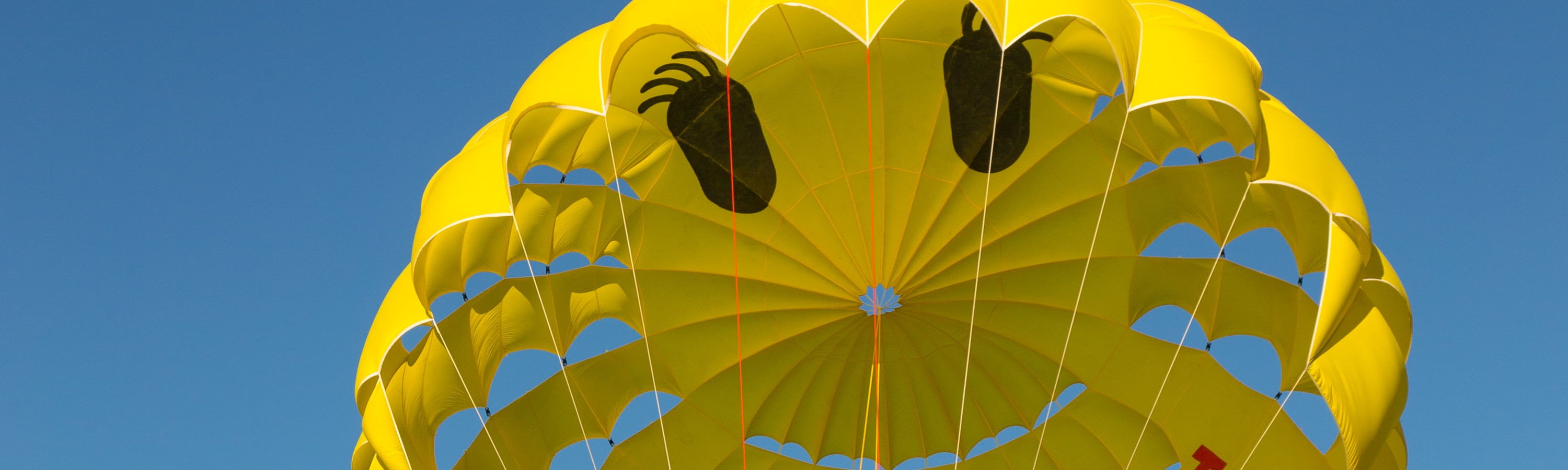 Queenstown Paraflights Parasailing