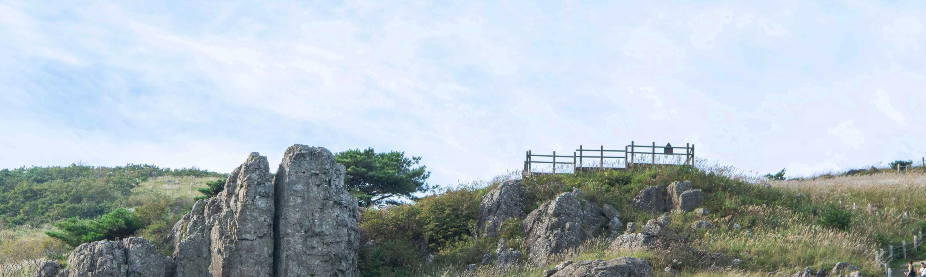 釜山 & 慶州一日遊（釜山出發）