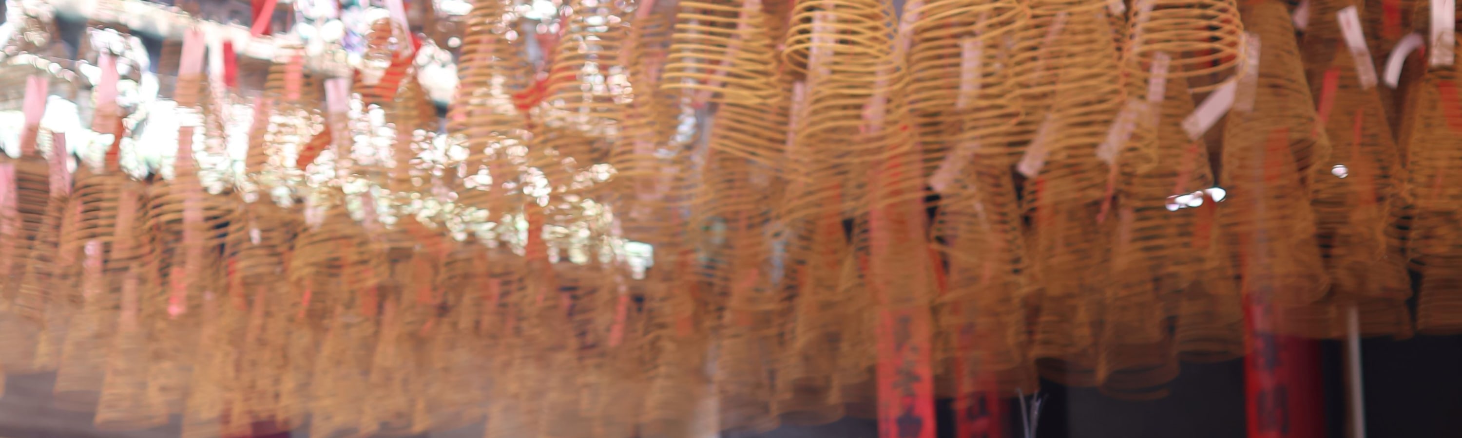 西貢冒險一日遊（奧黛騎士接送）