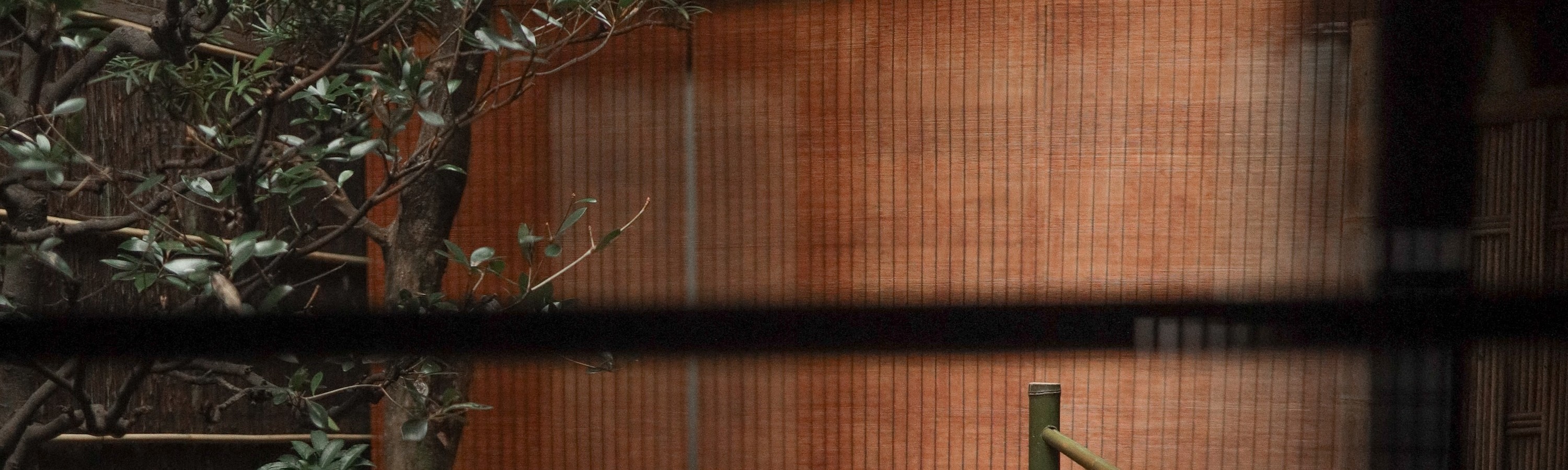 Kyoto: Candlelit Tea Ceremony in a 100-Year-Old Townhouse - Thumbnail 17