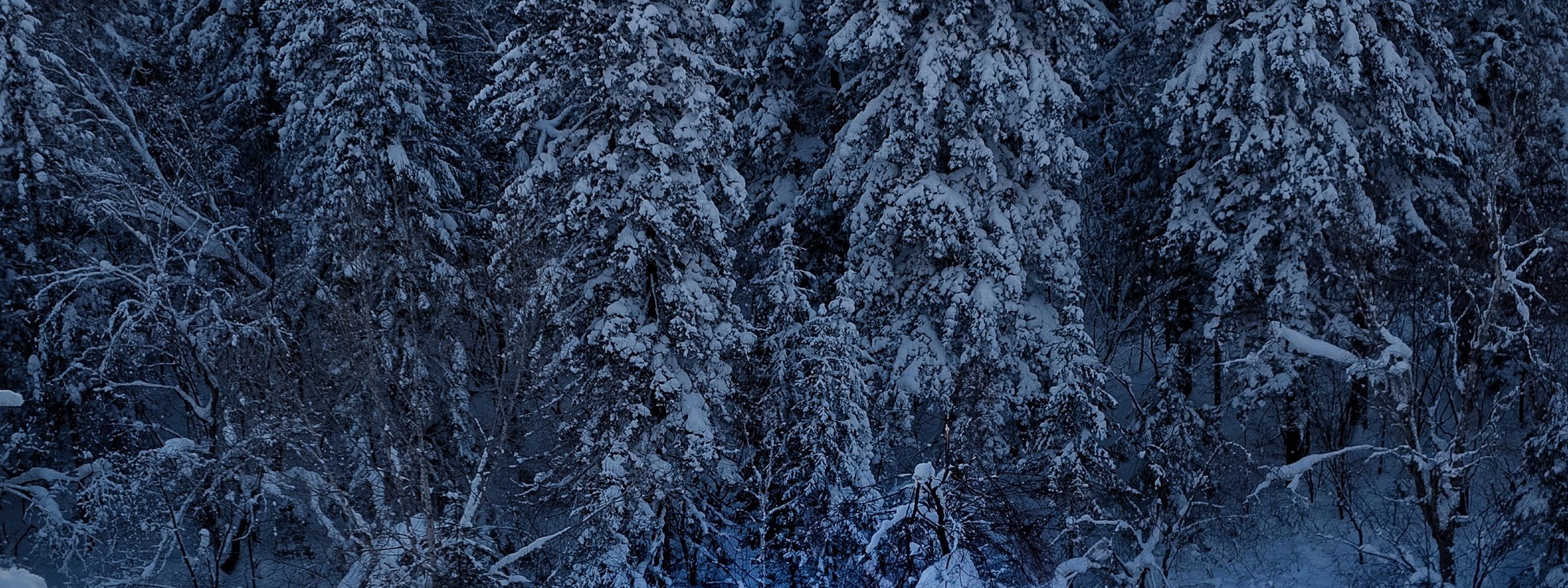 D5：境內【老裡克湖】保留著最原生態景觀資源，讓人印象深刻，其被譽為“中國南極”、“北方的香格里拉”。莽莽的林海雪原，厚厚的雪，在筆直挺拔直聳雲天原始林木間，徒步穿行3.5公里，賞盡森林霧冰掛、天然雪雕，直至高山深處的靜謐平湖，人跡罕至，卻有不時出現的動物蹤跡，令人感到非常神秘。