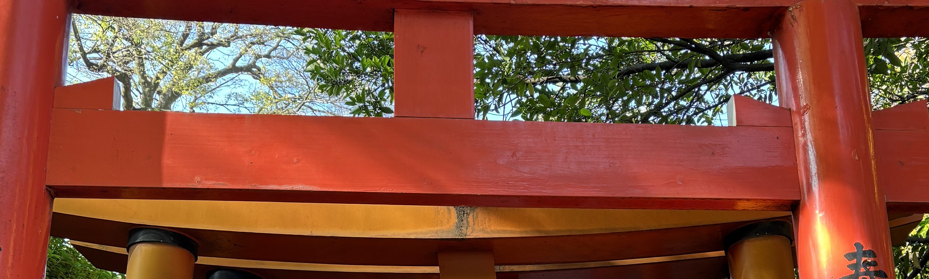 Yanaka Walking Tour: Historic and Traditional District of Tokyo 