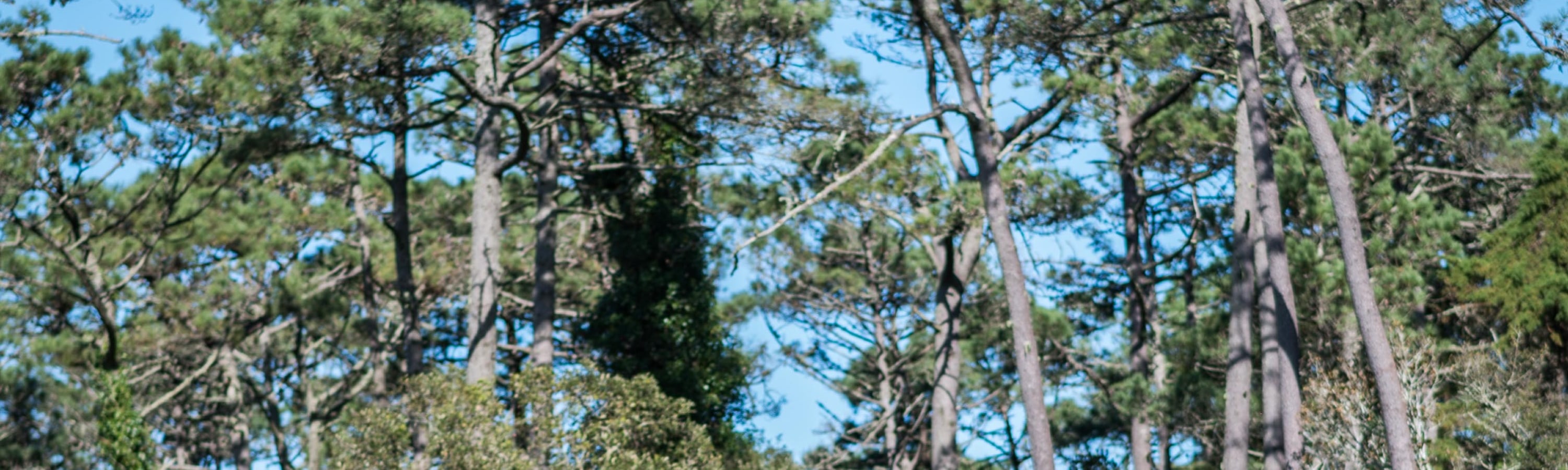 From Lisbon: Sintra Highlights Full Day Private Tour