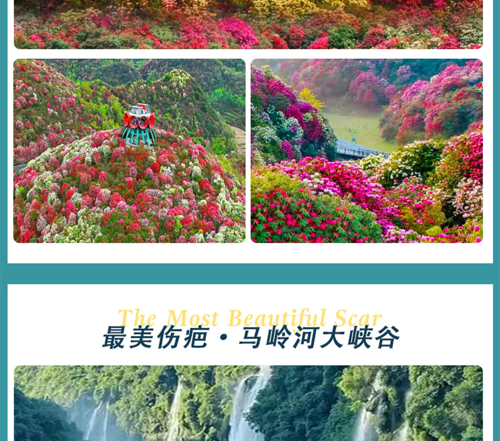 貴州春花爛漫5日私家團（百里杜鵑+萬峰林+馬嶺河大峽谷+青巖古鎮）