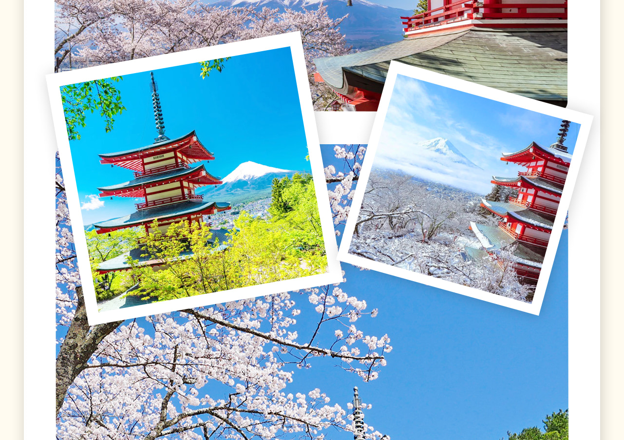 新倉山淺間公園，新晉網紅景點，被稱為“全世界攝影師在死前一定要去的21個地方”之一。這裡是觀賞富士山全景的絕佳位置。不僅是春天櫻花，這裡夏季新綠、秋天紅葉和冬天雪景都非常漂亮，除了欣賞富士山的絕景，還可以俯瞰極富魅力的富士吉田市內的街景。