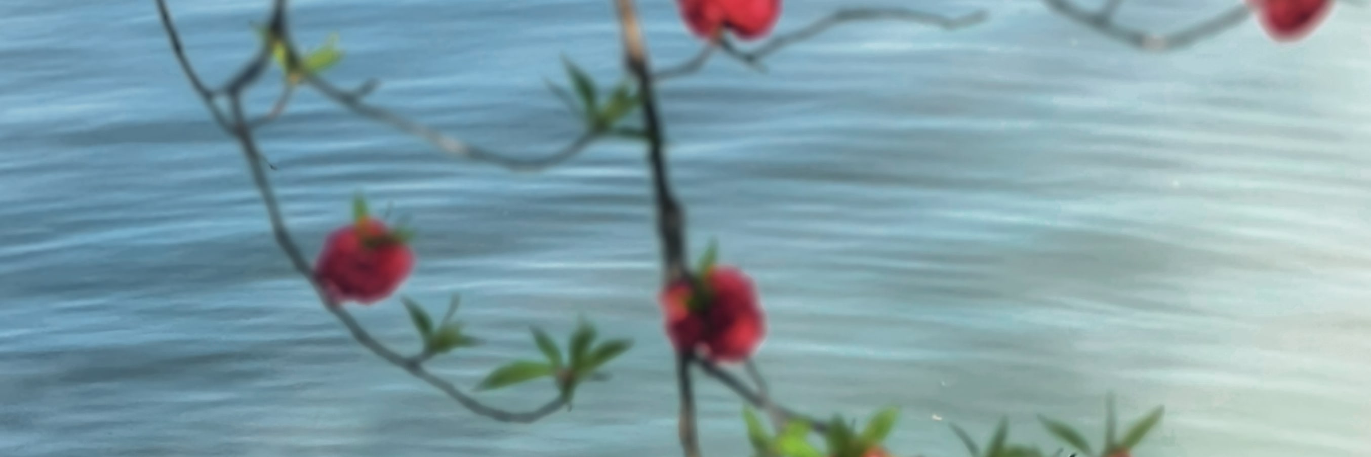 揚州瘦西湖：二十四橋明月夜，湖上園林畫卷中。乘一艘畫舫，穿行瘦西湖的五亭橋與白塔之間，看三步一柳五步一花，領略揚州獨有的精緻與婉約。