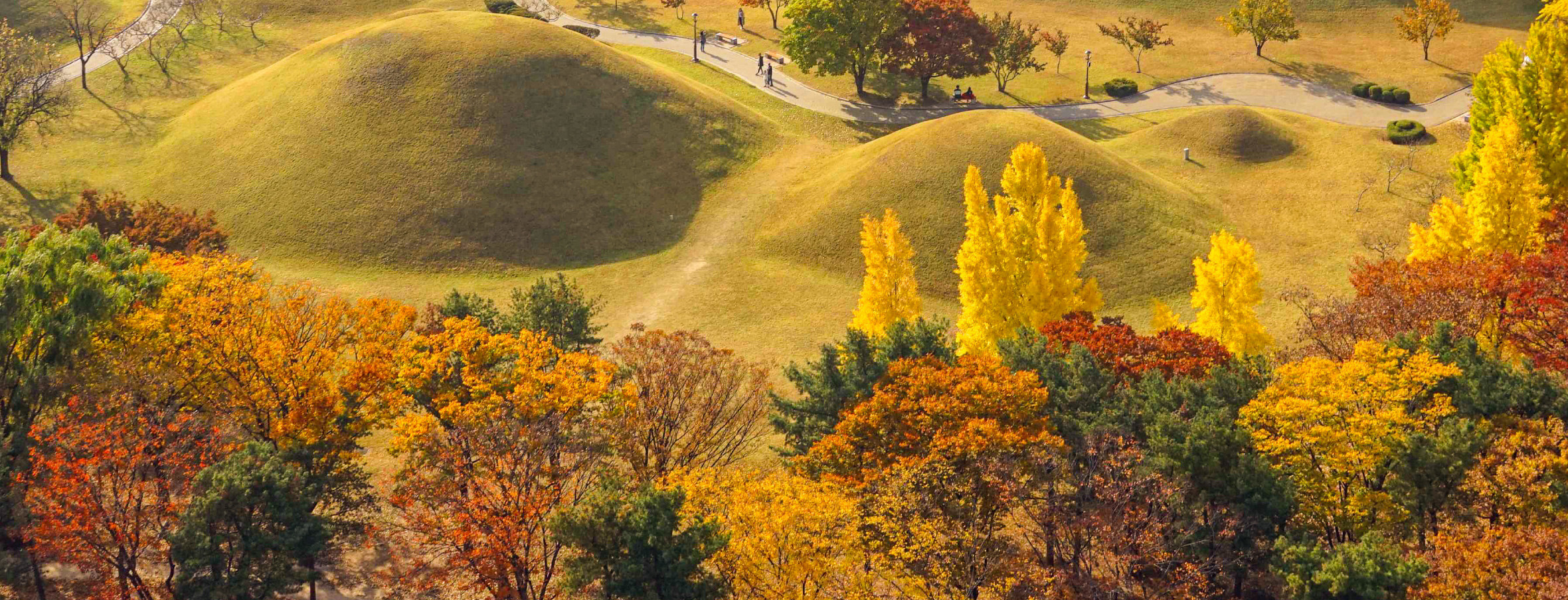 慶州大陵苑，又稱王陵公園，是一處包含23座新羅王朝時期建造的陵墓群。