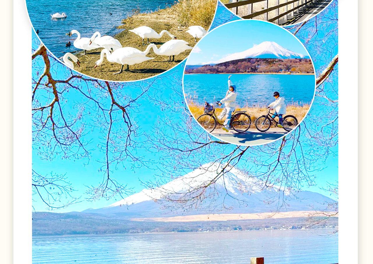 【Mount Fuji Cycling, Matcha Experience, Hot Spring Deep Two-Day Tour】Kawaguchiko & Matcha Experience & Cable Car & Hot Spring & Yamanakako Cycling & Oshino Hakkai & Arakurayama Sengen Park Deep Two-Day Tour