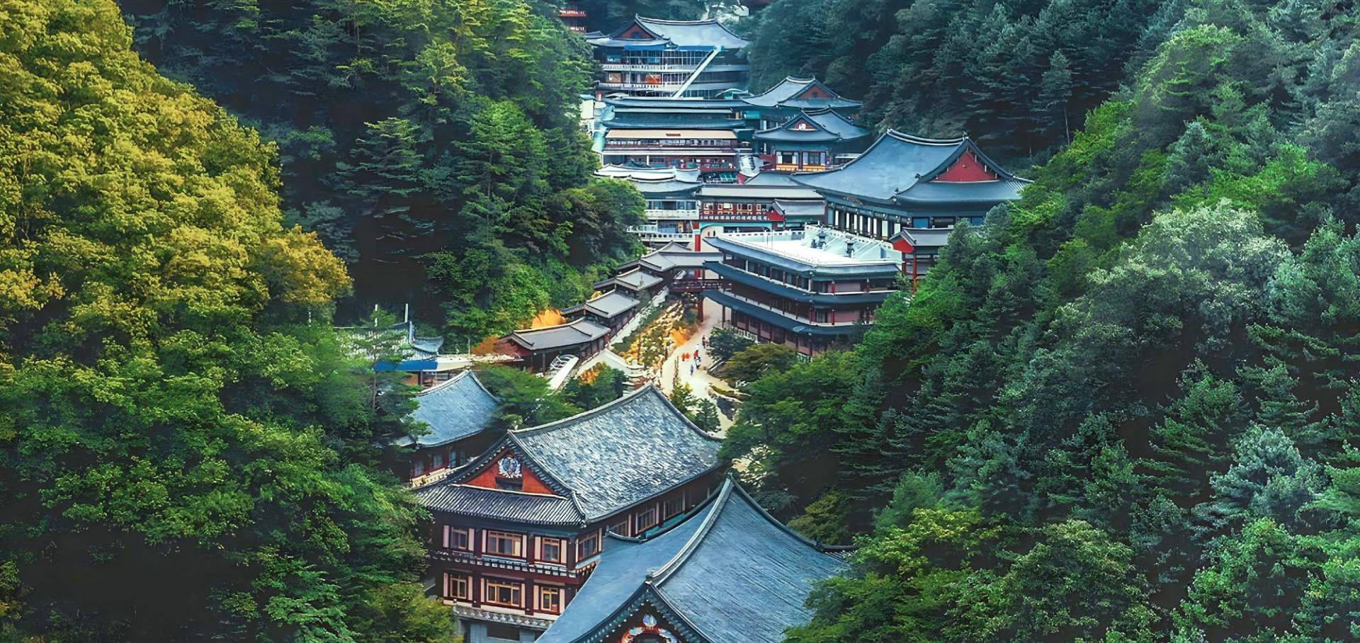 求仁寺以其令人驚嘆的建築和寧靜的氛圍而聞名，是韓國最大的佛教寺廟之一。🏯✨