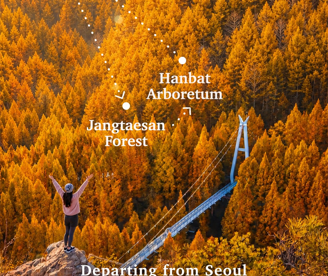 搭乘舒適的首爾至大田往返交通，單程約三小時，盡情探索長太山自然休養林的秋景與韓밭樹木園，最後一站前往聖心堂DCC店（Sungsimdang DCC Branch）。
