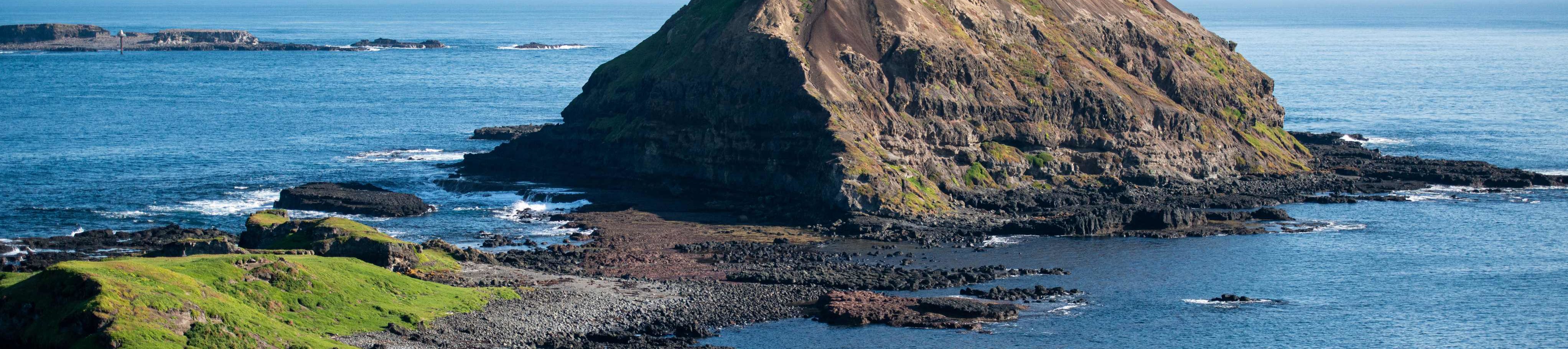 諾比司中心 諾比司中心