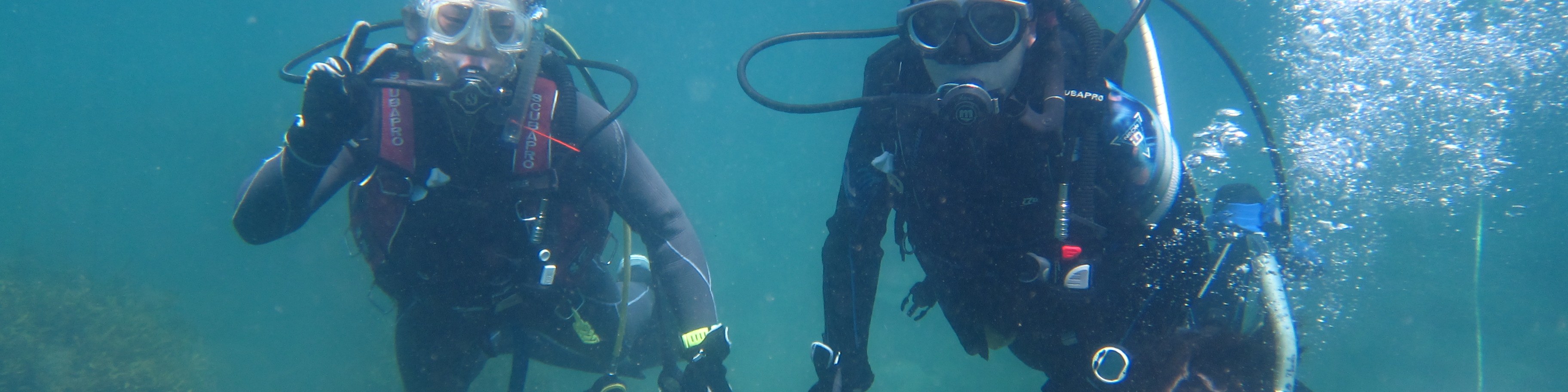 探索大阪海底：PADI 5* 中心的 3 天開放水域潛水員