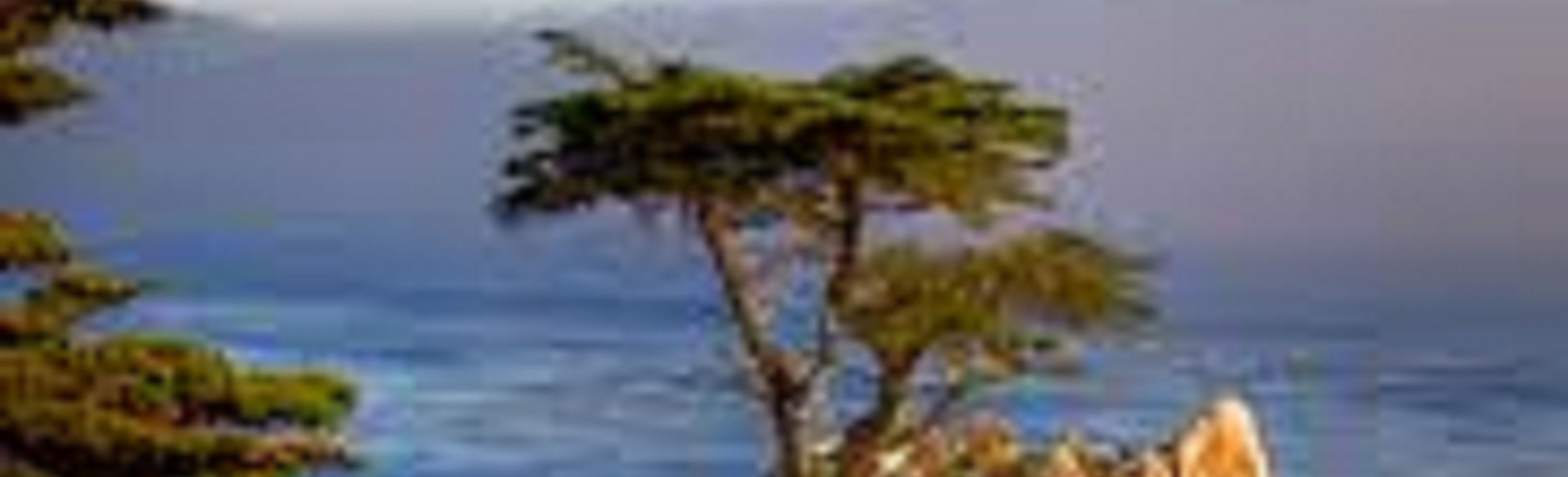 17-Mile and Pebble Beach Day Tour from Los Angeles