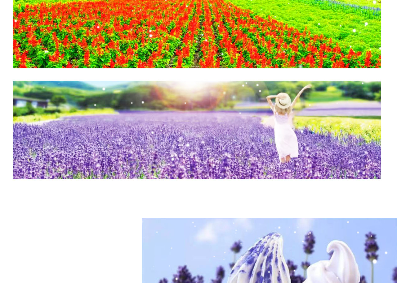 搭乘花田纜車緩緩上山,從空中俯瞰整片薰衣草田,視野遼闊又震撼,特別適合喜歡拍照、想悠閒漫步的旅客。
夏季限定的薰衣草冰淇淋更是必吃熱門,以花香與奶香結合的獨特滋味,為你的旅程增添甜蜜回憶。 搭乘花田纜車緩緩上山,從空中俯瞰整片薰衣草田,視野遼闊又震撼,特別適合喜歡拍照、想悠閒漫步的旅客。
夏季限定的薰衣草冰淇淋更是必吃熱門,以花香與奶香結合的獨特滋味,為你的旅程增添甜蜜回憶。