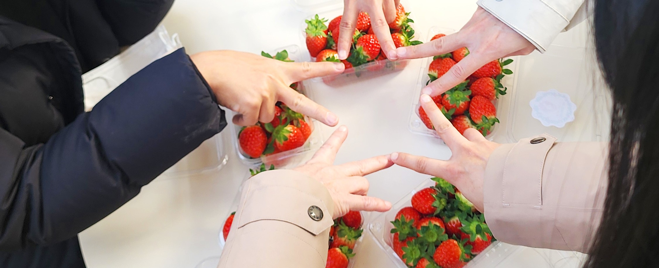 這是一次有趣的體驗，您可以品嚐到農場直送的新鮮！