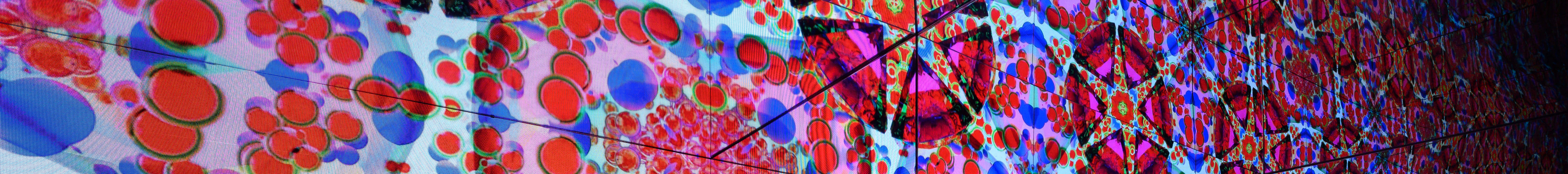 moco museum indoor