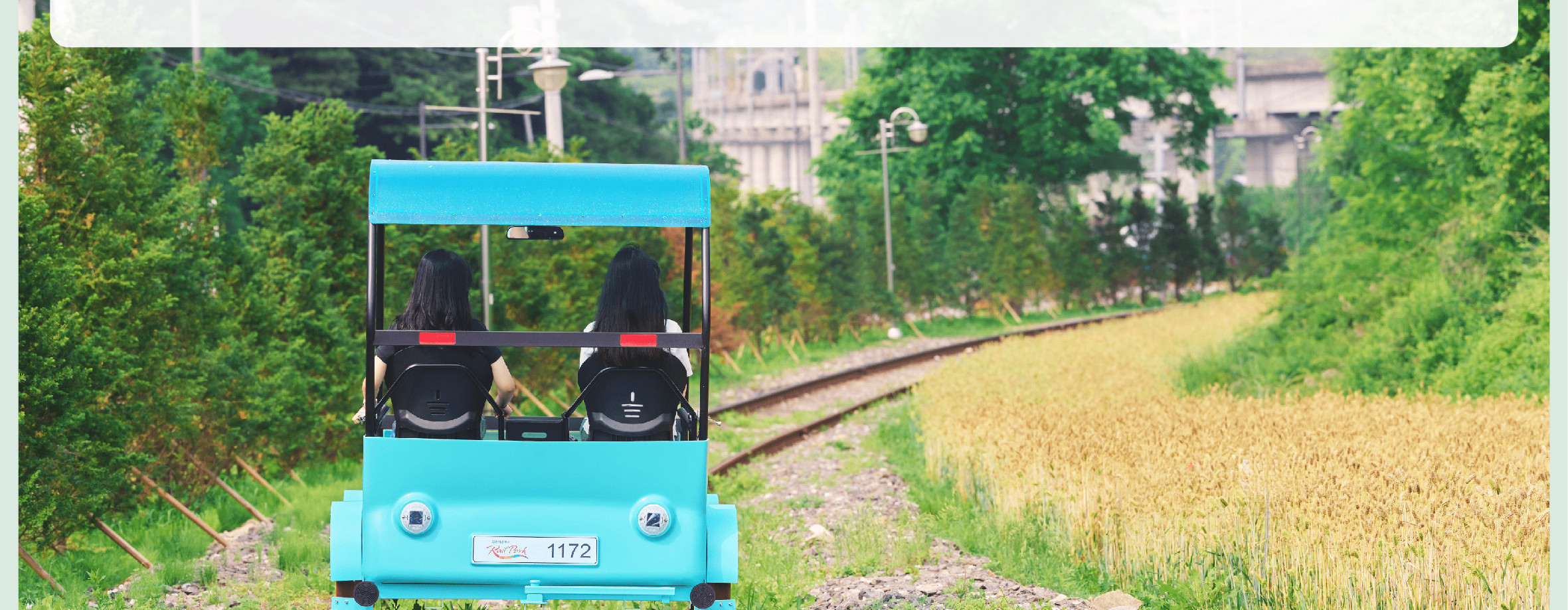 南怡島／草泥馬樂園／鐵道自行車／小法國村／晨靜樹木園之旅