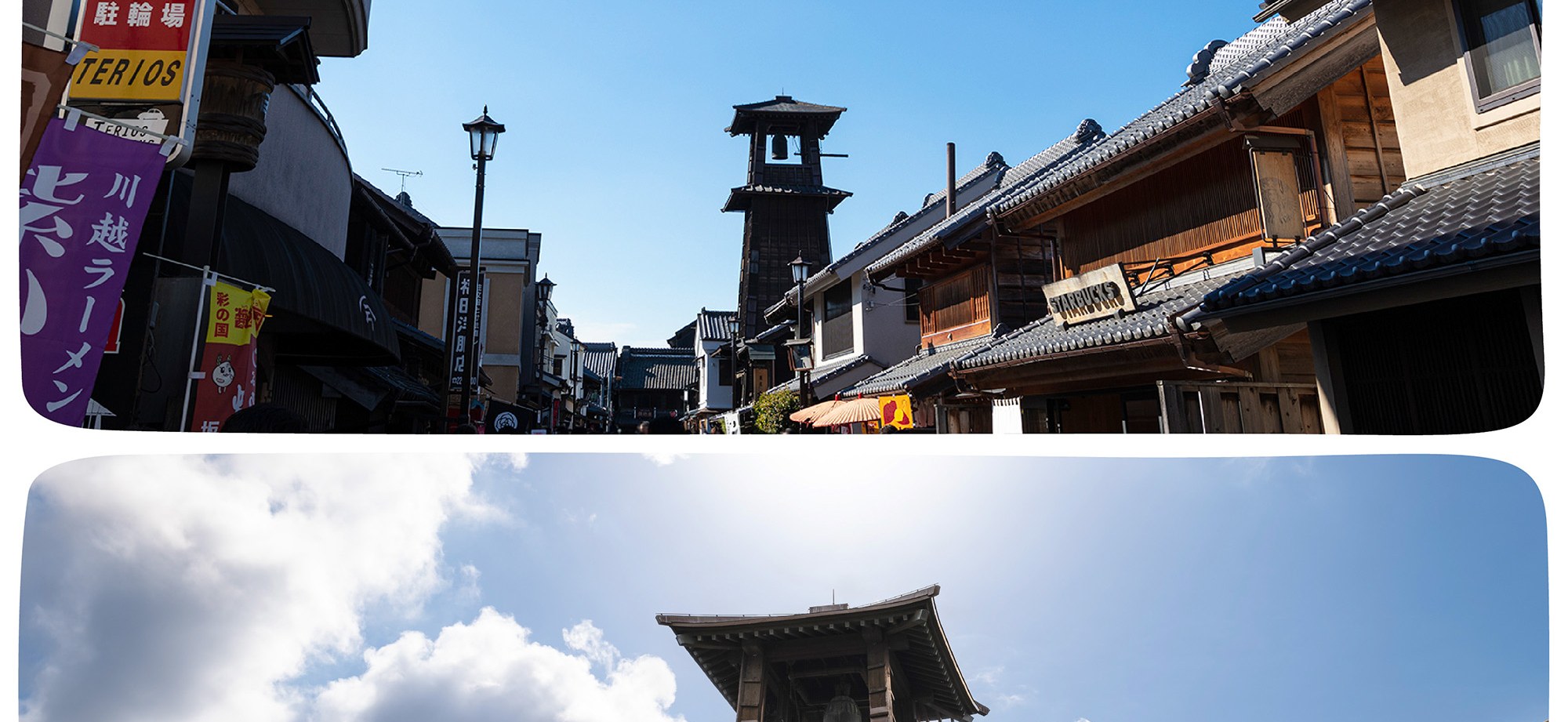 季節限定: 國營常陸海濱公園 & 足利花卉公園一日遊 (東京出發)
