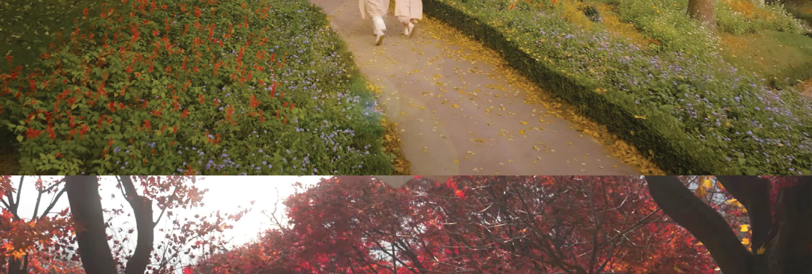 Eobi冰谷 & 南怡島 & 晨靜樹木園 & 鐵路自行車 & 小法國一日遊