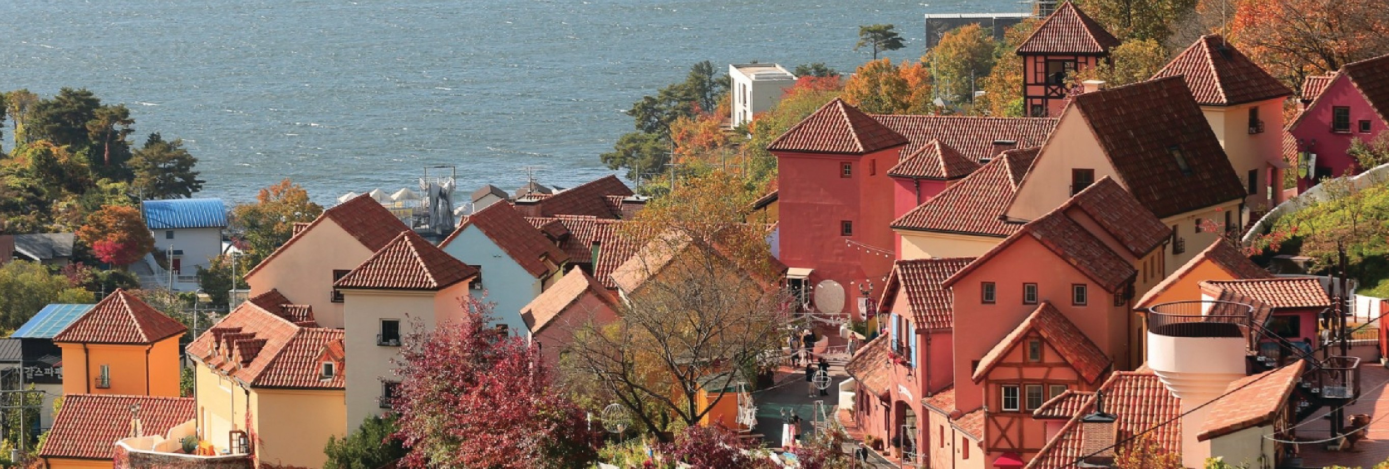 南怡島 (Nami Island) & 伊甸園冰雪世界 (Eobi Ice Valley) & 全景場 (Panorama Field) &  晨靜樹木園 (Morning Calm) 旅遊