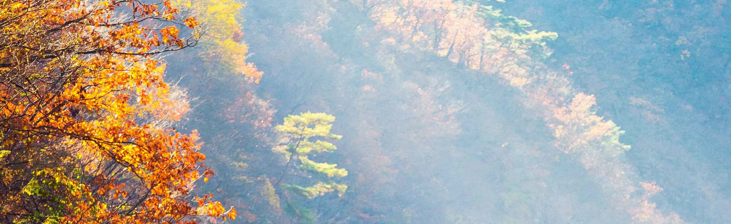 軌道自行車(近南怡島) 軌道自行車(近南怡島)