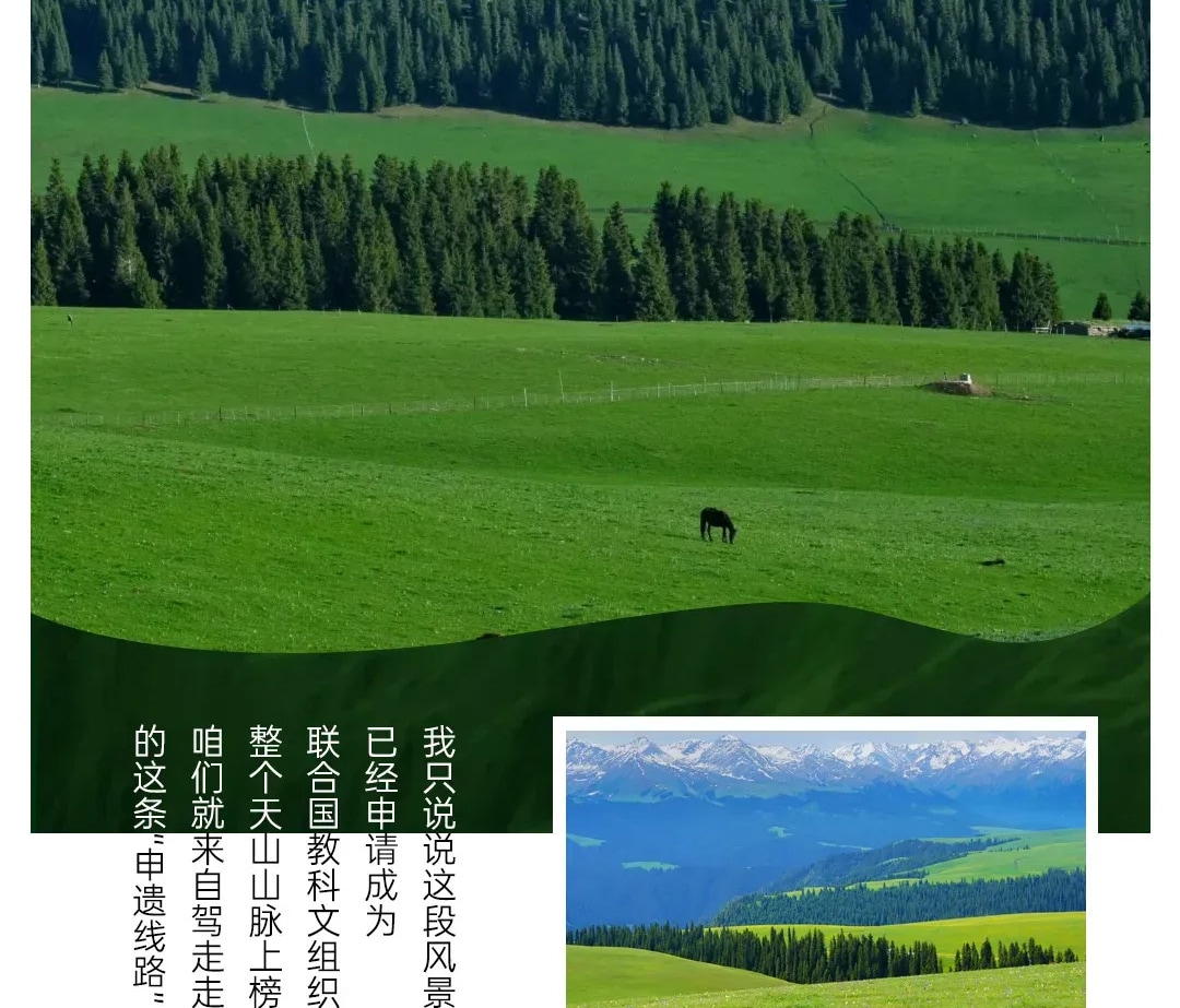新疆秘境伊犁8日遊（獨庫公路北段+那拉提空中草原+賽里木湖環湖+唐布拉觀景臺+喀拉峻+庫爾德寧+沃爾塔交塔）