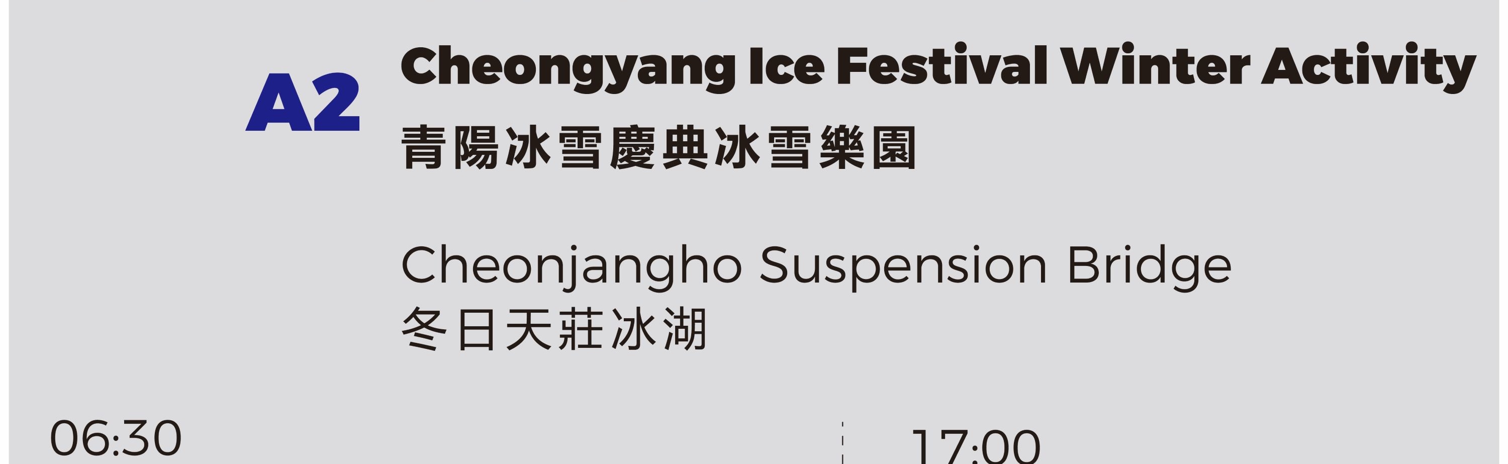 Cheongyang Ice Festival & Nami & Eobi Ice Valley & Strawberry Tour