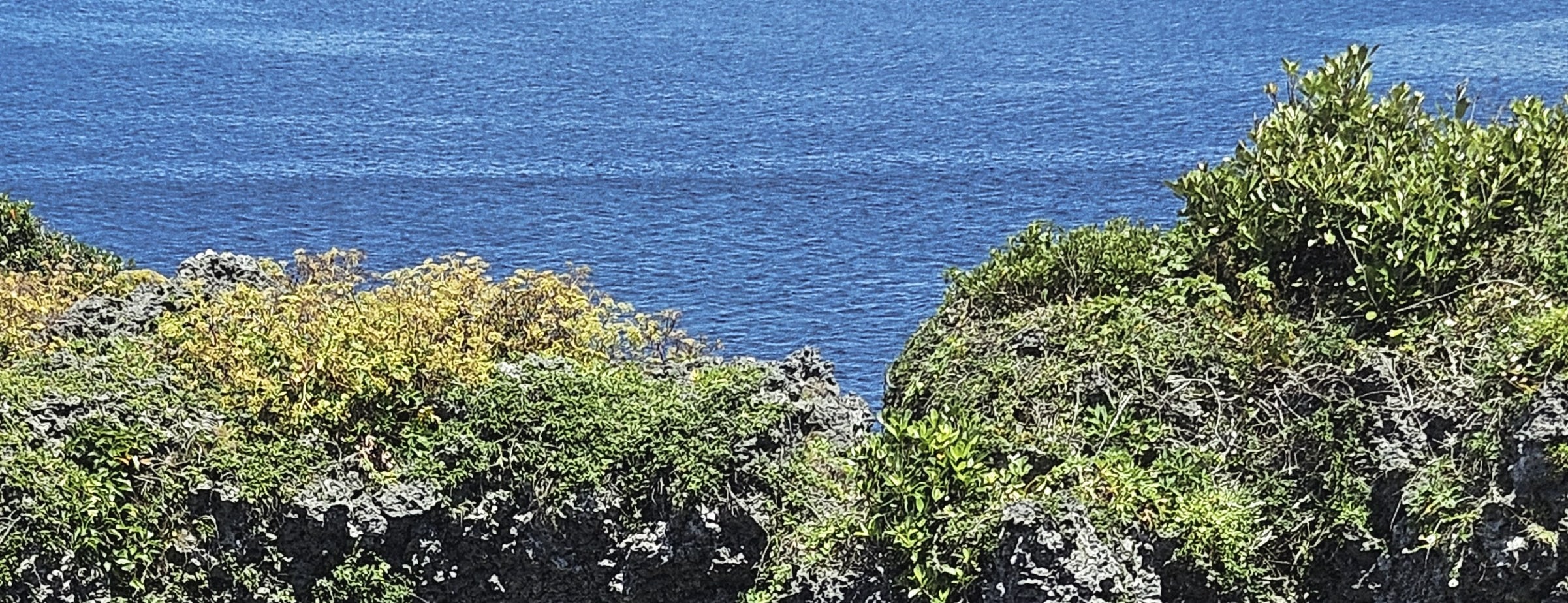 沖繩萬座毛