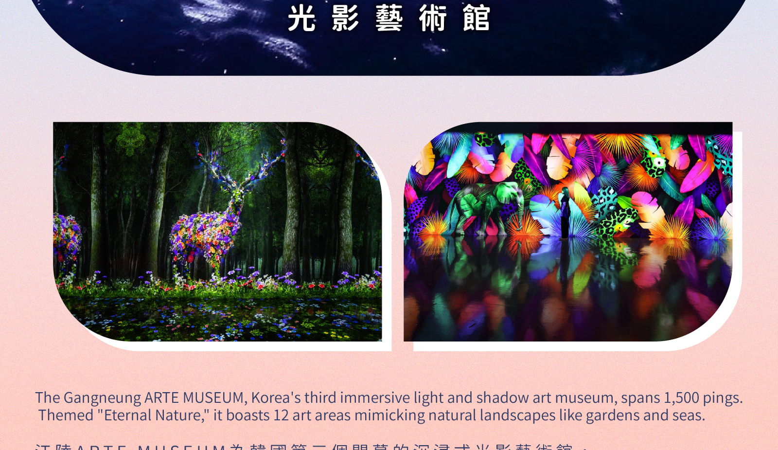 江陵熱點！BTS巴士站/ 鬼怪/ 哈斯拉藝術世界/ 咖啡街 一日遊