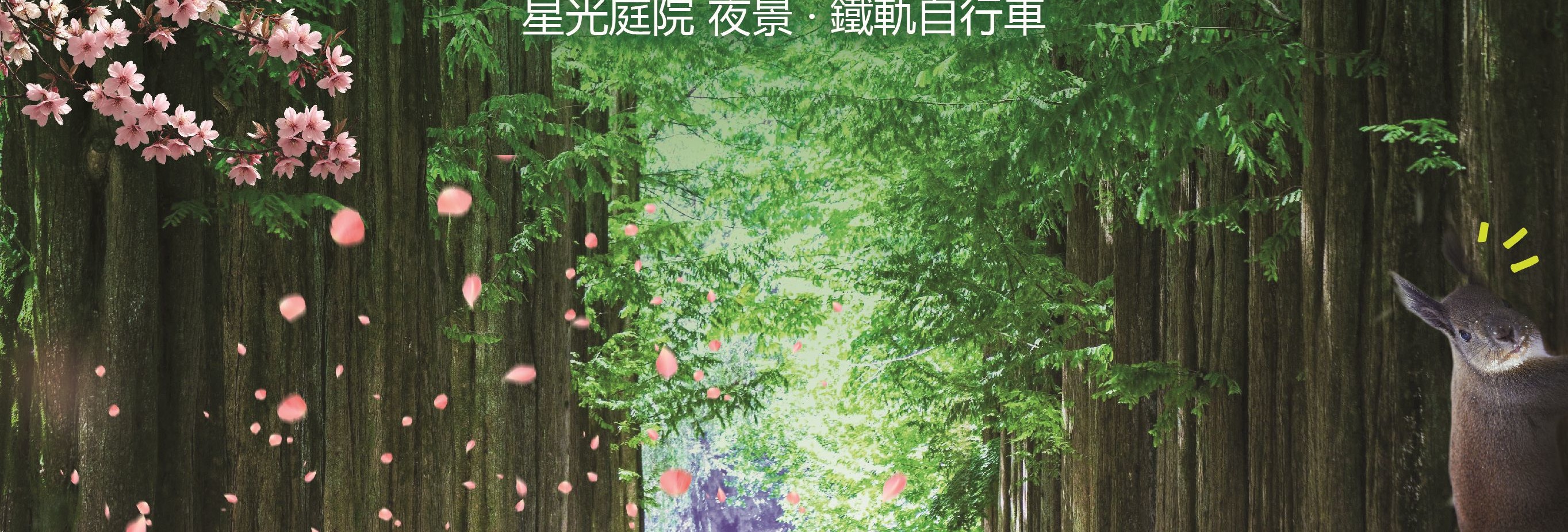 南怡島 (Nami Island) & 伊甸園冰雪世界 (Eobi Ice Valley) & 全景場 (Panorama Field) &  晨靜樹木園 (Morning Calm) 旅遊