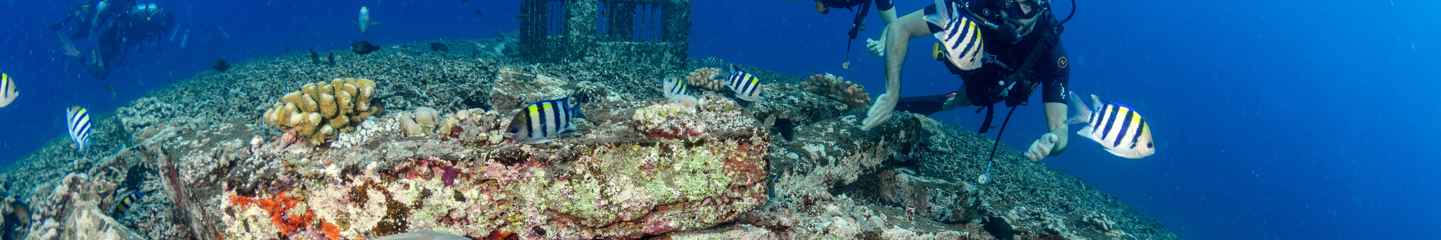 吉利群島潛水體驗（PADI五星級潛水中心）