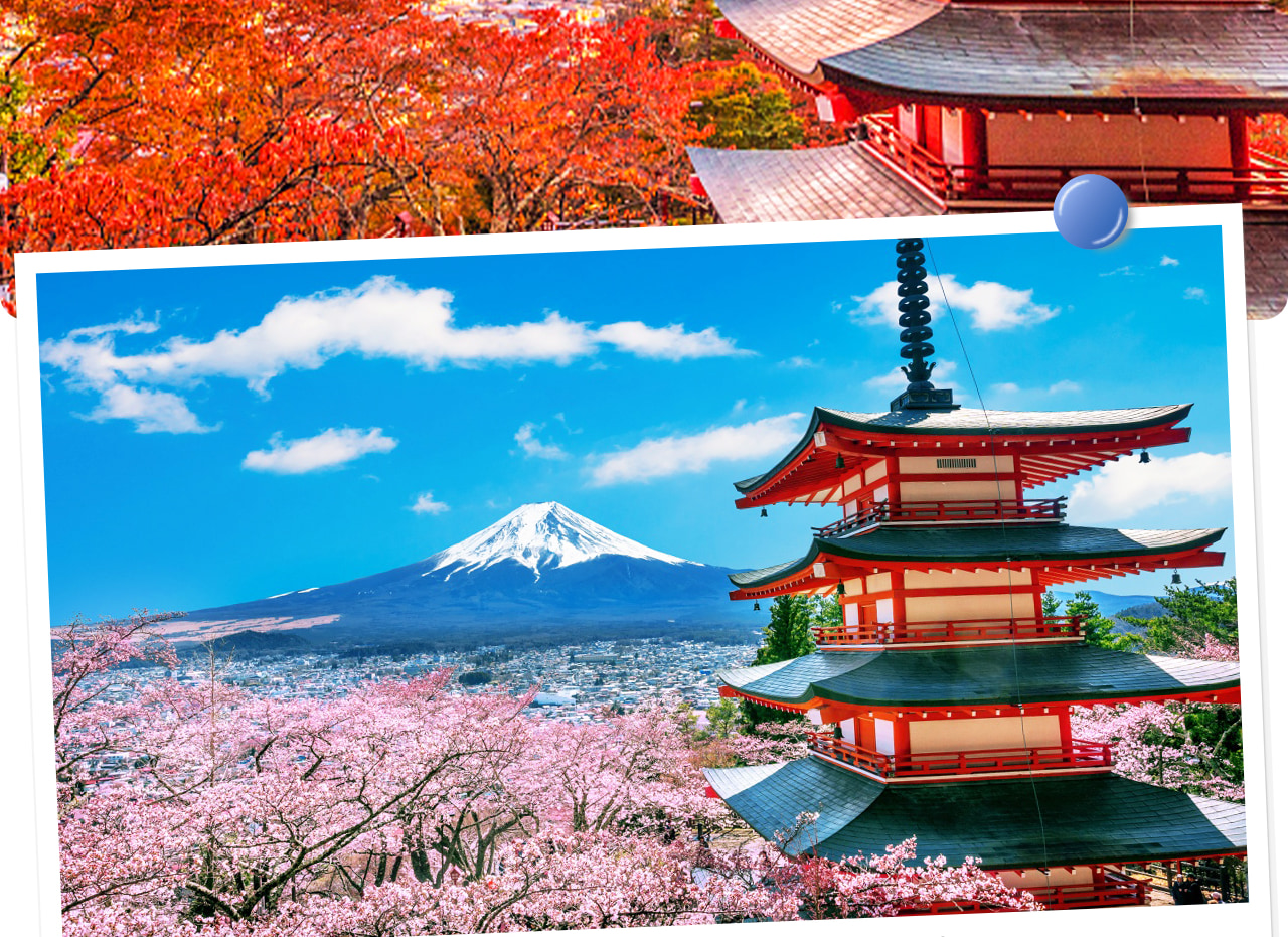 新倉山淺間神社以五重塔和富士山為背景，是拍攝經典“塔與富士山全景”的熱門打卡勝地。