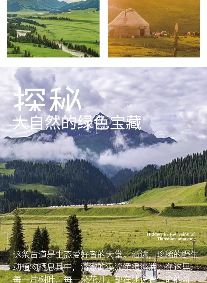 新疆伊犁牧野伊夏獨庫版7日（全程攝影旅拍+賽湖帆船體驗+喀拉峻民族家訪+庫爾德寧小火鍋+孟克特古道+恰甫其海+唐布拉百里畫廊）